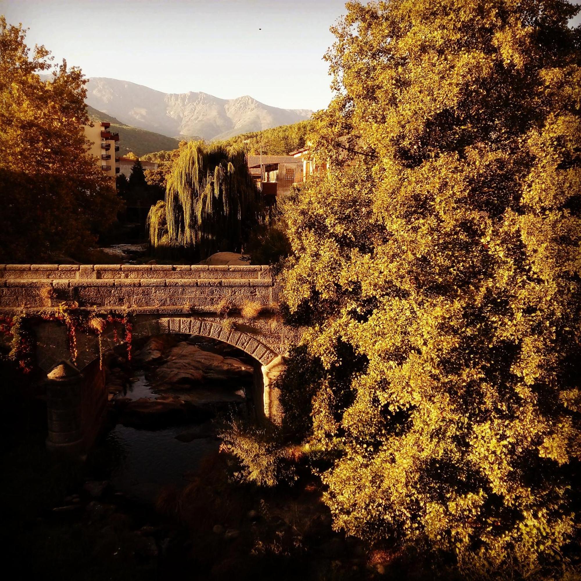 La Albarea By #Cherrygredos El Arenal  Exterior photo