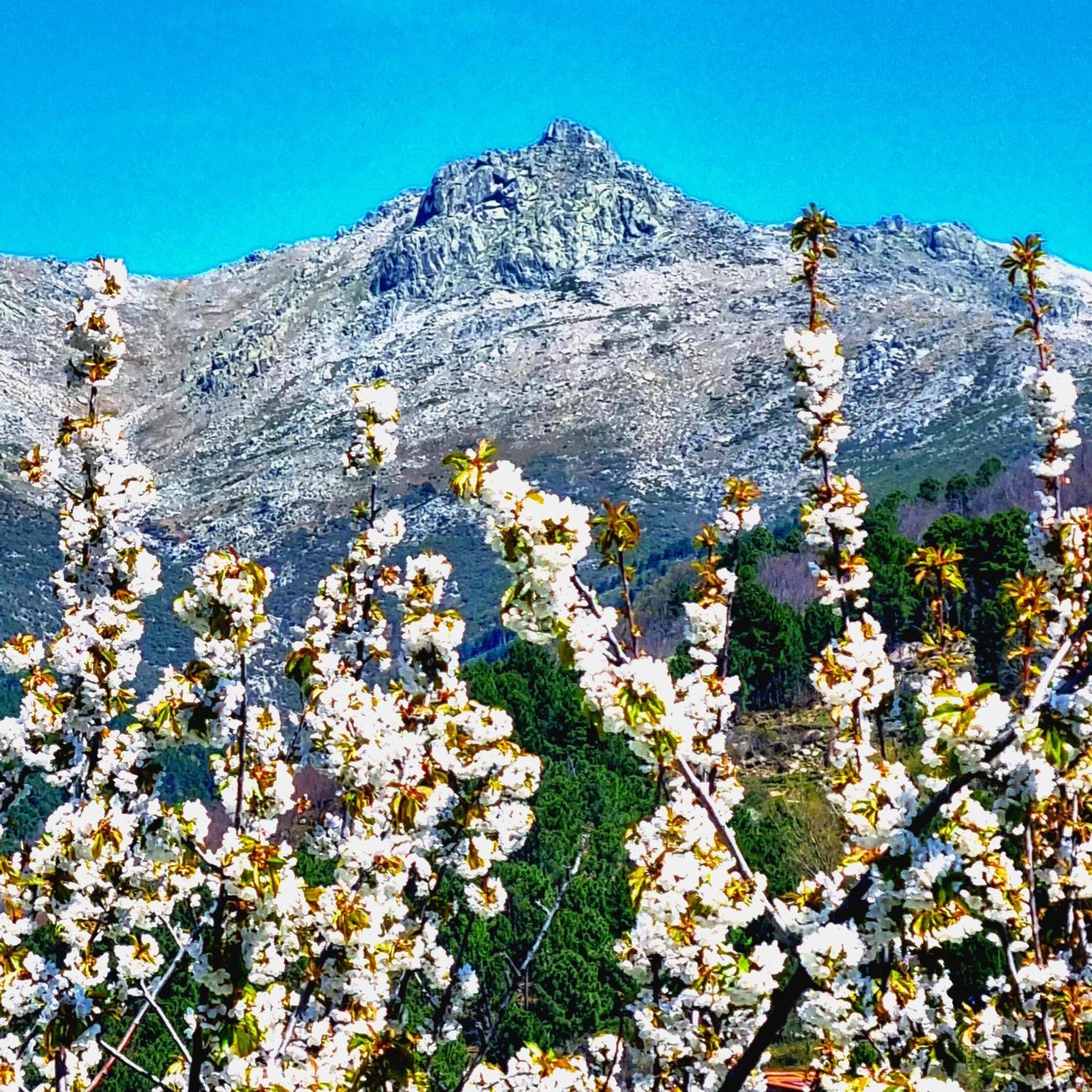La Albarea By #Cherrygredos El Arenal  Exterior photo